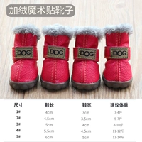 Dog Rose Red Plus Velvet