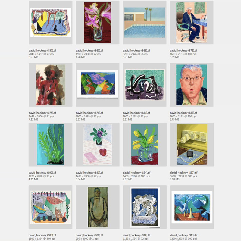 David Hockney's Oil Paintings Collection Includes over 2800 Digital High-Definition Images