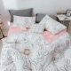 Ga bằng cotton in quilt một gia đình bốn người trải giường ký túc xá ba mảnh nam WTA chăn đỏ Gắn 1.8 - Khăn trải giường