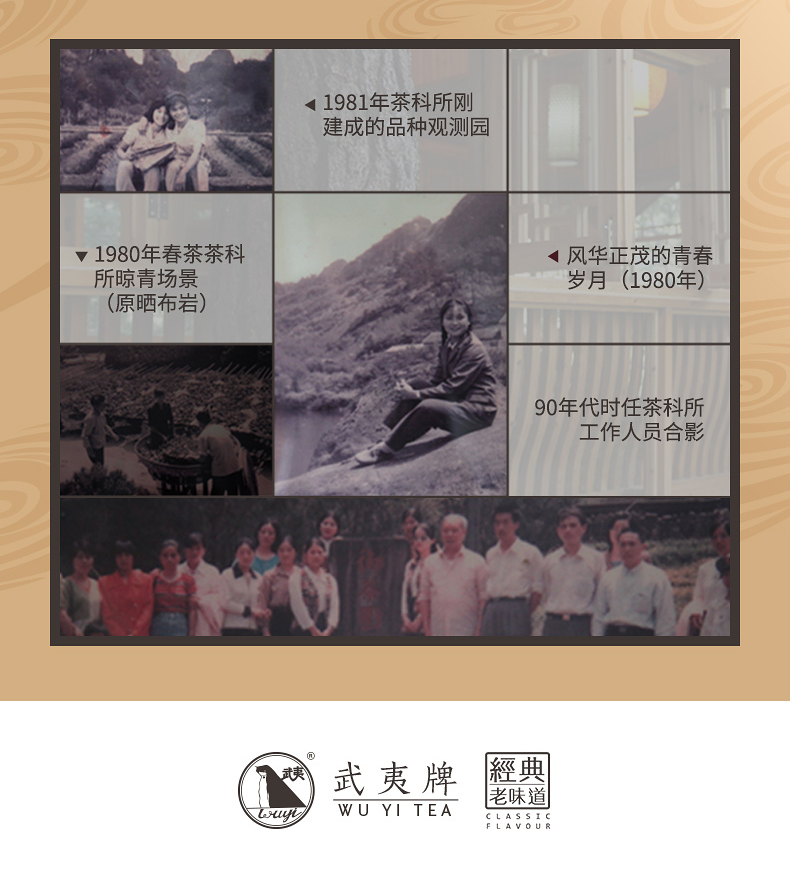老牌武夷牌 正山小种 红茶 50g罐装 买过口碑超好店铺 图11