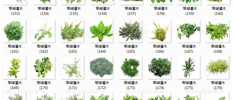 T84 草图大师模型SU园林景观植物花草树木乔木花卉灌木sketc...-57