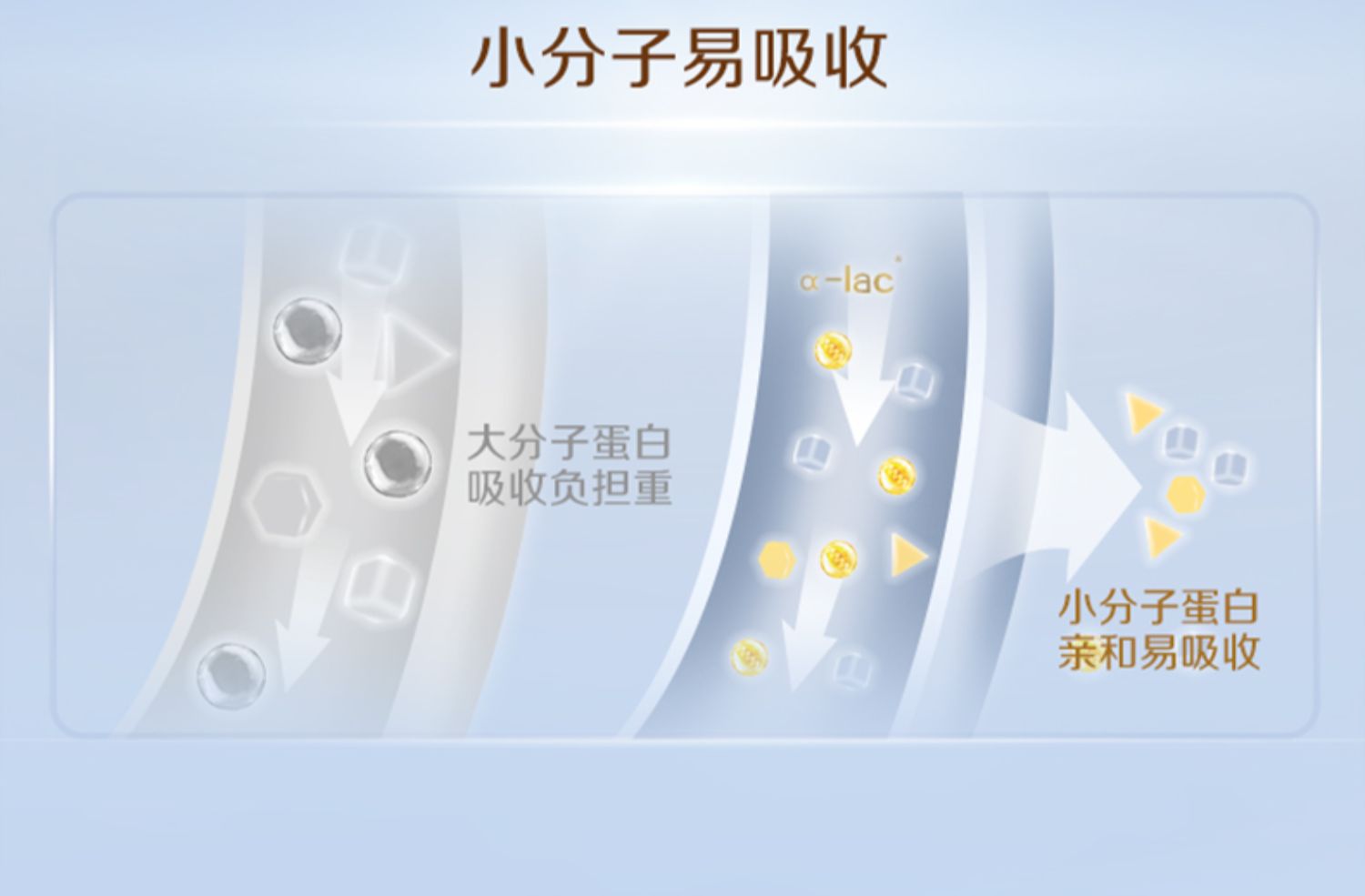 【启赋蓝钻】3段婴幼儿成长配方牛奶粉810g*2罐旗舰店官网正品