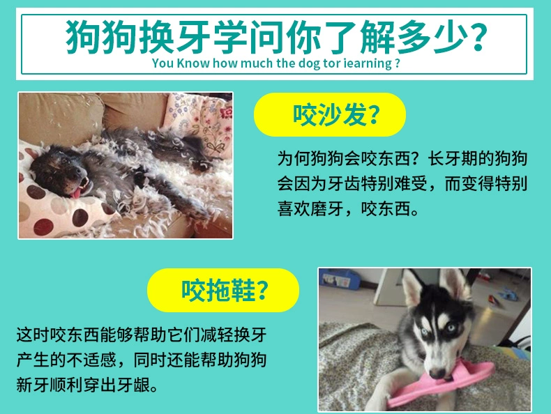 Bite kháng tổ ong lỗ đàn hồi phát sáng bóng thú cưng đồ chơi mèo và chó đồ chơi (màu ngẫu nhiên) duy nhất