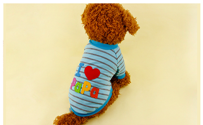 Quần áo chó Teddy quần áo mùa xuân và mùa hè vest hai chân quần áo hơn Xiong Bomei cún con chó con mèo quần áo thú cưng - Quần áo & phụ kiện thú cưng quần áo cho chó con