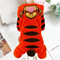 Оранжевый маленький тигро-оранжевый