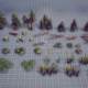 Unity Top down Fantasy Forest Hdrp 1.2 Overhead View Forest Vegetation Scene Model