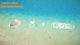 Unity Cartoon Water Surface Shader Stylized Water Shader2.1.5 Mobile Version