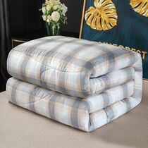 Net red winter quilt spring and autumn thickened warm quilt core single student dormitory quilt Four Seasons general air conditioning quilt