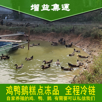 There is a need for a private letter customer service from home-raised chickens and ducks