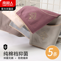 Antarctic summer underwear womens pure cotton antibacterial crotch thin breathable incognito womens underwear sexy waist antibacterial AK