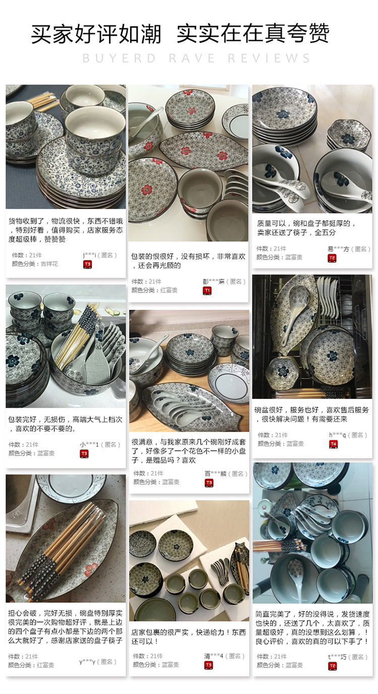 Jingdezhen chinaware plate dishes tableware suit Japanese under the glaze color hand - made bowl dish home outfit combinations