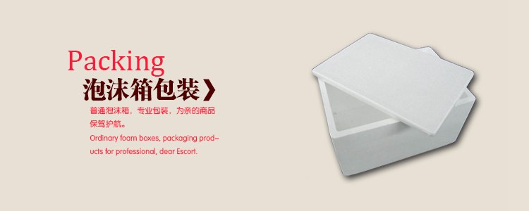 Trải qua màu sắc Bộ đồ ăn bằng gốm sứ Nhật Bản Sứ sáng tạo hình chiếc đũa hình con cá bằng đũa Chiếc đũa - Đồ ăn tối dĩa sứ