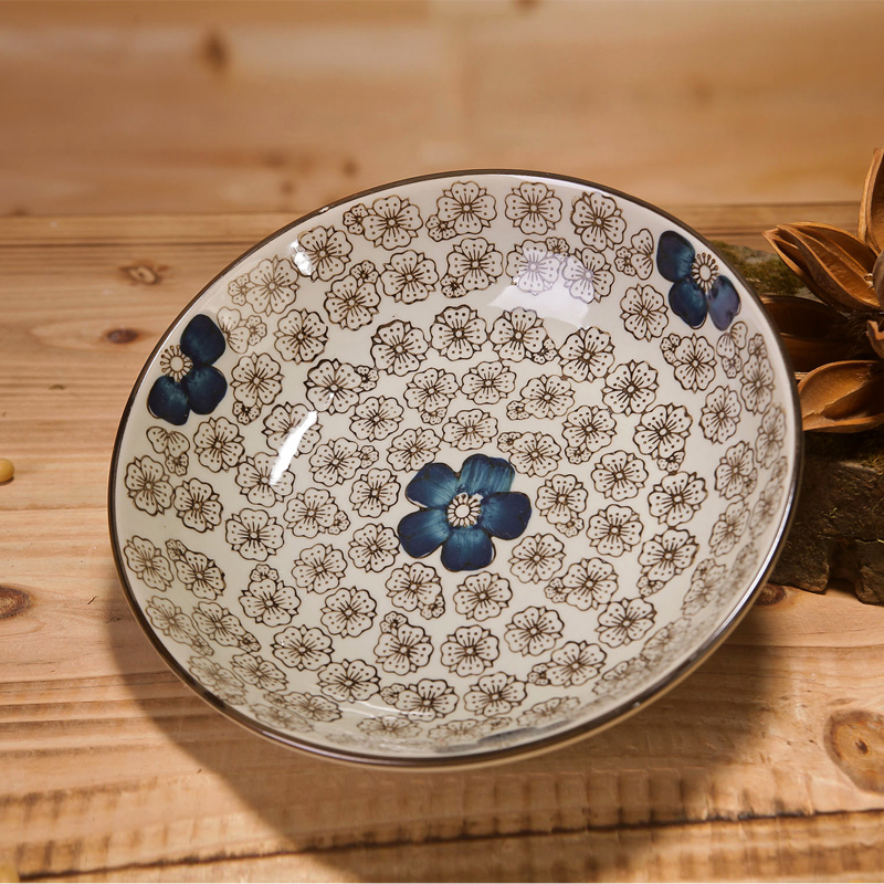 Japanese under the glaze color tableware ceramics steak plate plate hotel creative west dish dish with fish dish dish meals