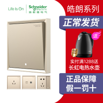 Schneider switch socket home socket panel perforated wall five-hole socket panel Hao Lang Golden Switch