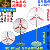 High-power luxury industrial fan Floor fan Powerful wall-mounted home commercial large air volume factory horn fan