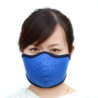 Пыль -защищенная