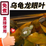 Специальная черепаха для черепах Longan Leaf Leafing Turtle Landscaping Tortoise без кипячения имитации оригинальных экологических запасов кожи консерванта