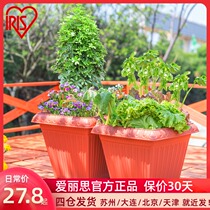 Alice rectangular basin relief resin old pile flower pot Alice balcony hydrangea tomato planting pot