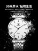 Switzerland 2026 New Men's Watch, Simple Men's Wristwatch, Electronic Quartz Watch, Waterproof, Top Ten Genuine Brands