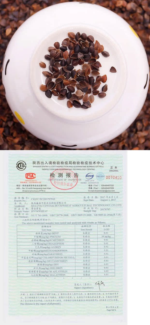 Cassia hoa oải hương kiều mạch vỏ gối Bulk Gối Bulk điền ngọt khử trùng nhiệt độ kiều mạch vỏ - Gối gối chữ u