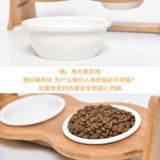 Кошачья чаша двойная миска с кошачьим бассейном бамбуковой полки керамический кот рис напиток с водой из нержавеющей стали кошачья чаша для кошачья кошка продукты