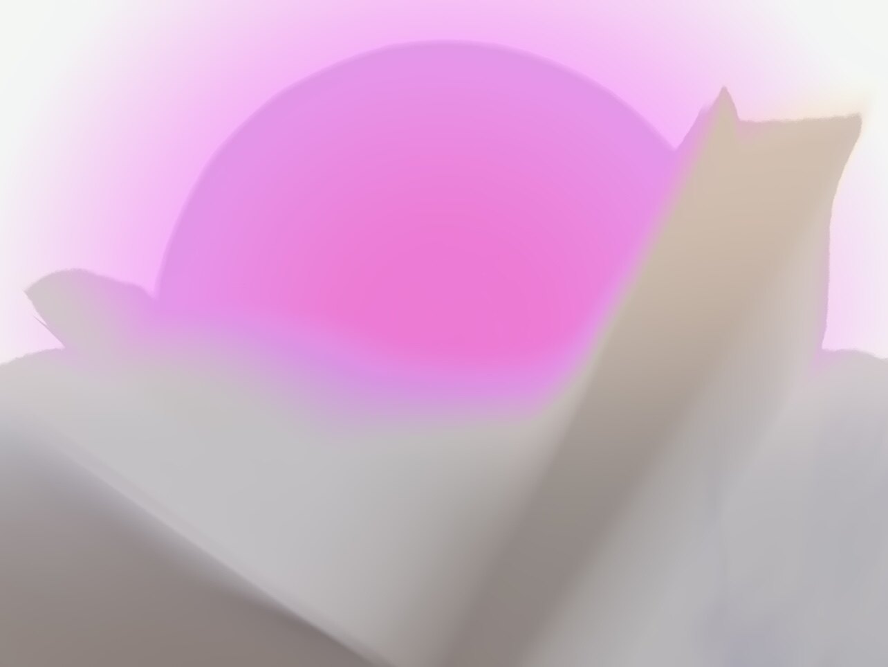 TZ衣橱