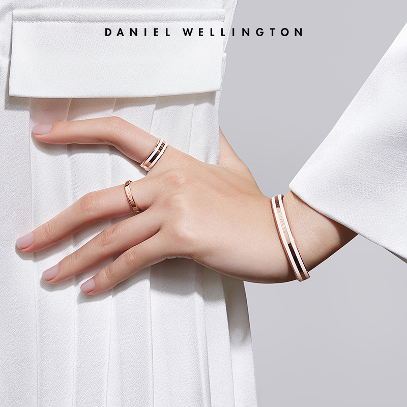 Daniel Wellington 丹尼尔·惠灵顿 Bracelet 手镯 DW0040005 天猫优惠券折后￥340顺丰包邮（￥690-350）