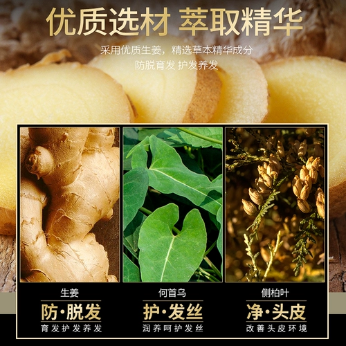 Шампунь с имбирем для кожи головы, массажный крем, обезжиривающее натуральное масло