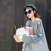 Платиновая металлическая сумка