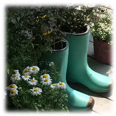 Original single vintage old cement boots flower pot flower pot garden decoration ornaments shooting props