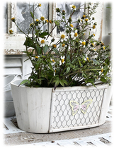 Solitude solid wood iron mesh decorated butterfly flower pot garden decorative floras three optional