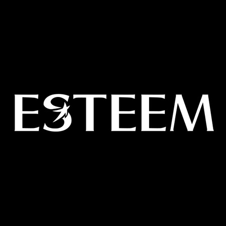 ESTEEM宜庭旗舰店