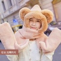 Panda Expert-Adult Color