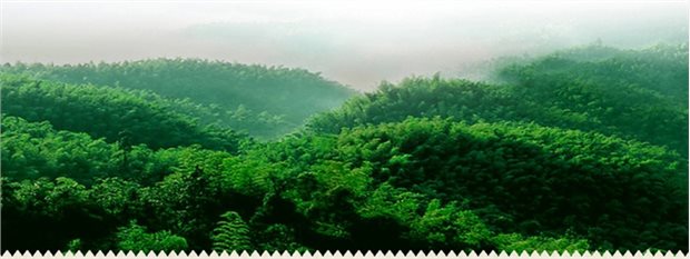 Vớ nam bằng sợi tre mùa hè mới thấm hút mồ hôi khử mùi thấm hút tất nam kinh doanh thể thao và giải trí tất nike
