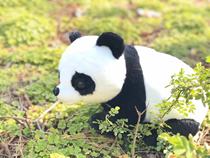 Pro-Till emulation giant panda cub doll cute cuddle with bear kung fu panda wildlife national treasure doll