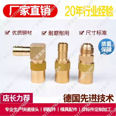Supply American DME N6 N9 N16 SK113 SK119 SK219 mold nozzle quick connector