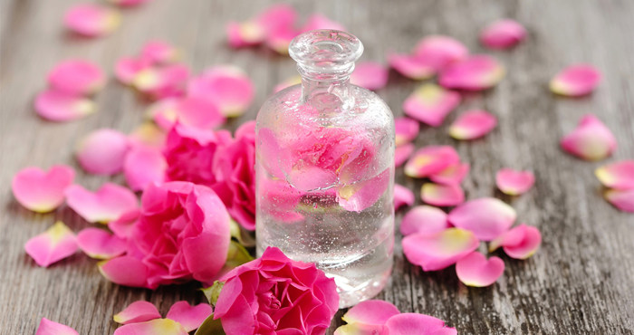 不僅好看還能護膚的 Ldquo 神奇七色花 Rdquo 淘寶海外