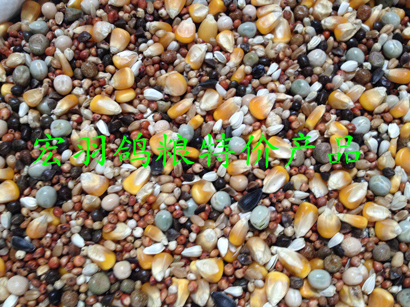 Dove Grain Boutique With Corn Feed Racing Pigeon Watching Pigeon Grain 50 Jin of only Jiang's Zhejiang and Shanghai