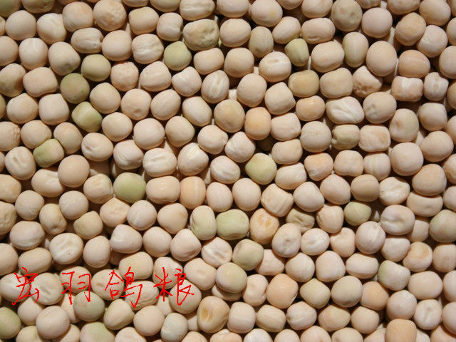 White pea raw peas peas pigeon food pigeon food peas 40 kilos (Jiang Zhejiang and Shanghai)