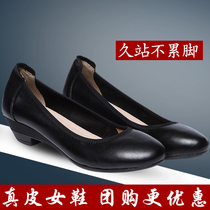 Leather work shoes womens black flat-bottomed wild professional shoes low-heeled female stewardess large size small size round head womens single shoes