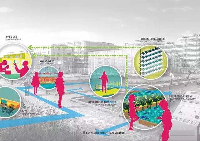 T127建筑规划竞赛Illustrator软件出图AI高端分析图教学视频教程-6