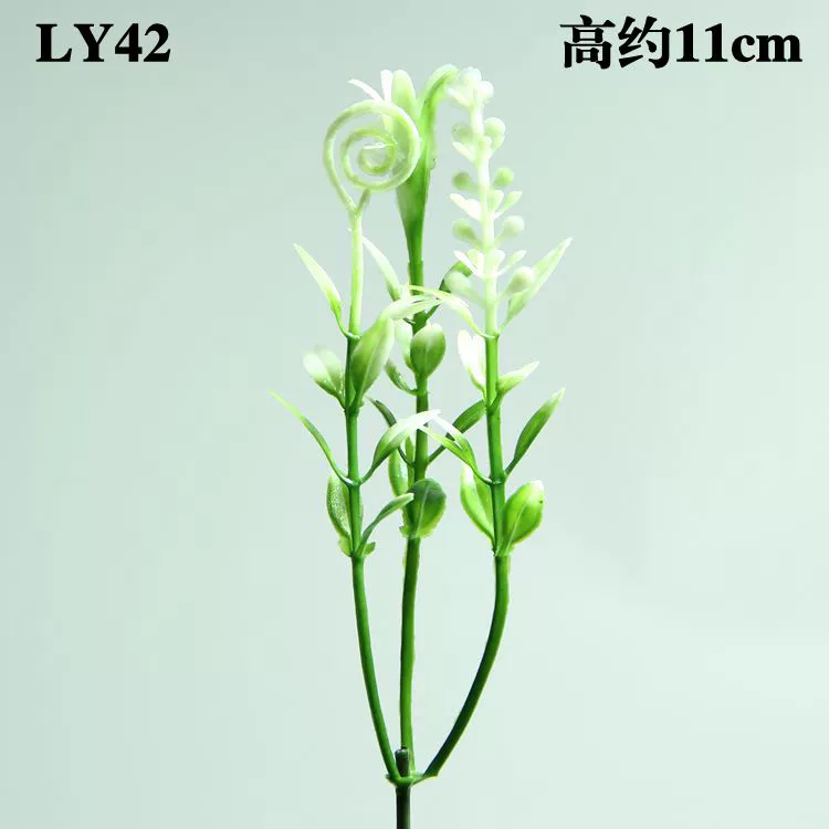 Mục vụ hoa nhân tạo hoa nhựa cây tường xanh cây nền tường cắm hoa giả hoa làm vườn cắm hoa - Hoa nhân tạo / Cây / Trái cây cây giả trang trí trong nhà