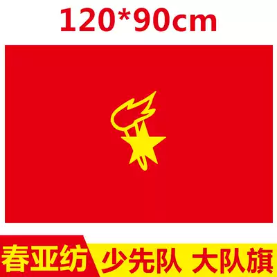 The Young Pioneers team flag holding the Chinese Young Pioneers team flag team flag