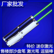 USB rechargeable version of the sales department sand table pen Green laser infrared laser coach teaching meeting command funny cat stick