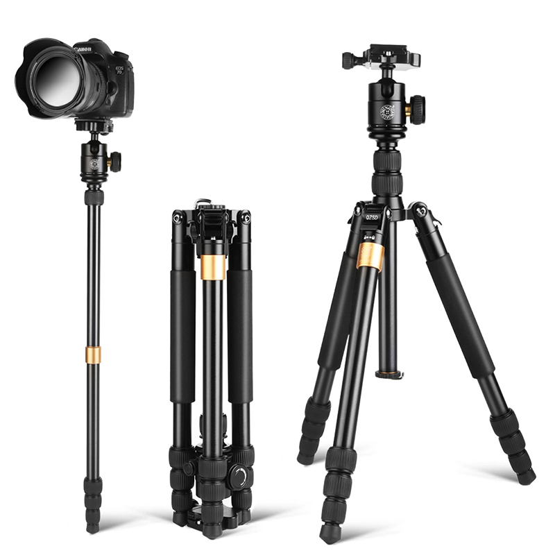 Light Time Q668S camera tripod carbon fiber mobile phone photography triangle bracket
