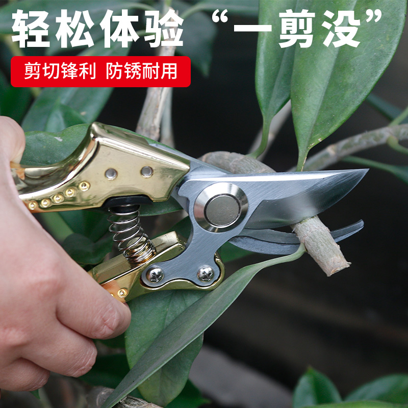 Fruit tree scissors Horticultural cut pruning twigs scissors fruit branches Cut garden cut flowers branch cut and cut and pruner prunes