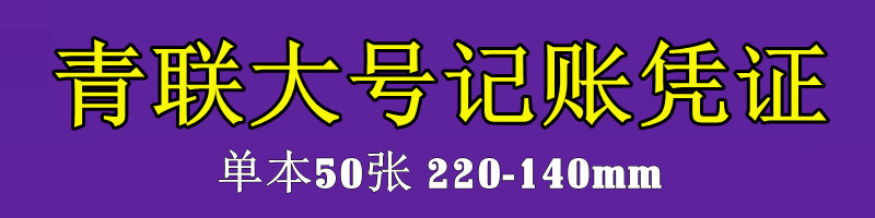 【5本入】青連大22開帳証憑記帳証憑220*140 mm財務用品209カスタム250枚,タオバオ代行-チャイナトレーディング