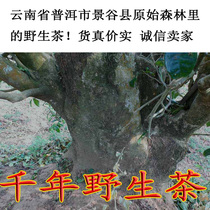 Natural wild tea Yunnan Puer tea Wild tea cake Wild tea farmers in the mountains of the primeval forest produce and sell their own