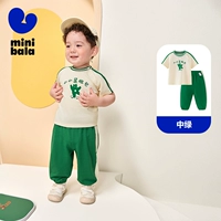 Средний зеленый 40513