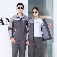 Пять поколений неглубокого пепла и темно -серого двойного набора